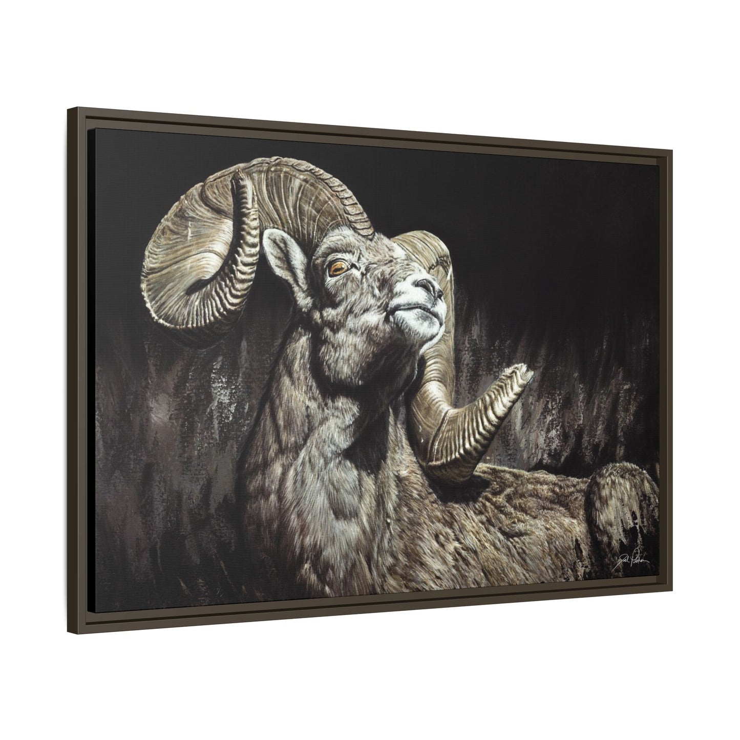 "Golden Eye" Framed Canvas