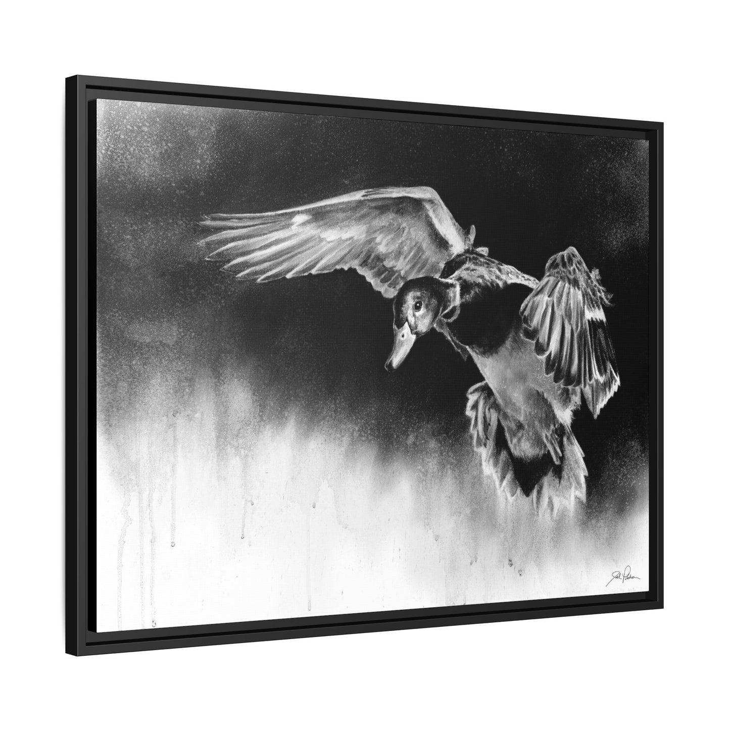 "Controlled Descent" Framed Canvas