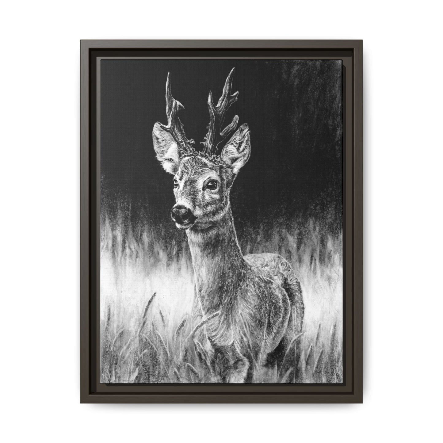 "Roe Deer" Framed Canvas