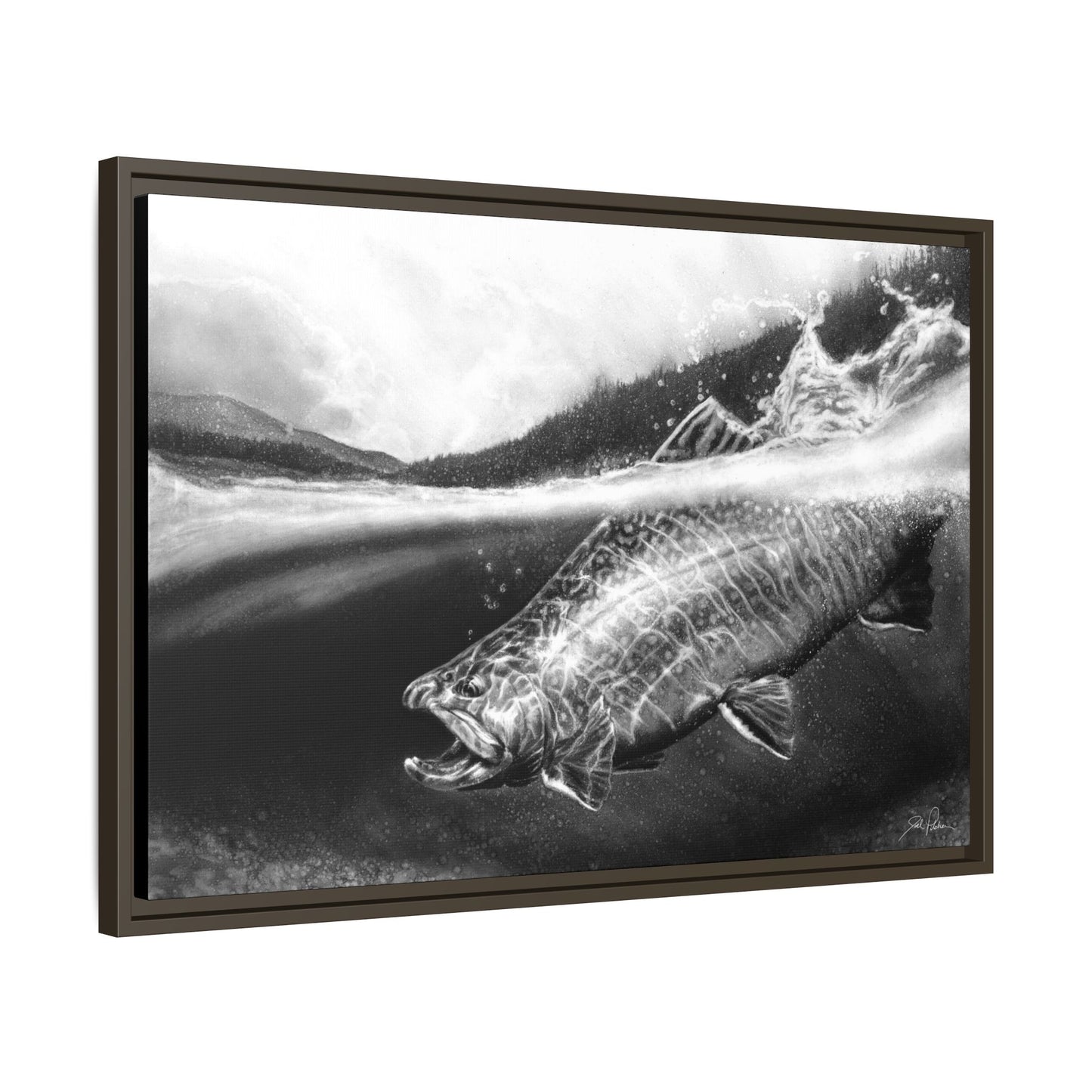 "Brook Trout" Framed Canvas