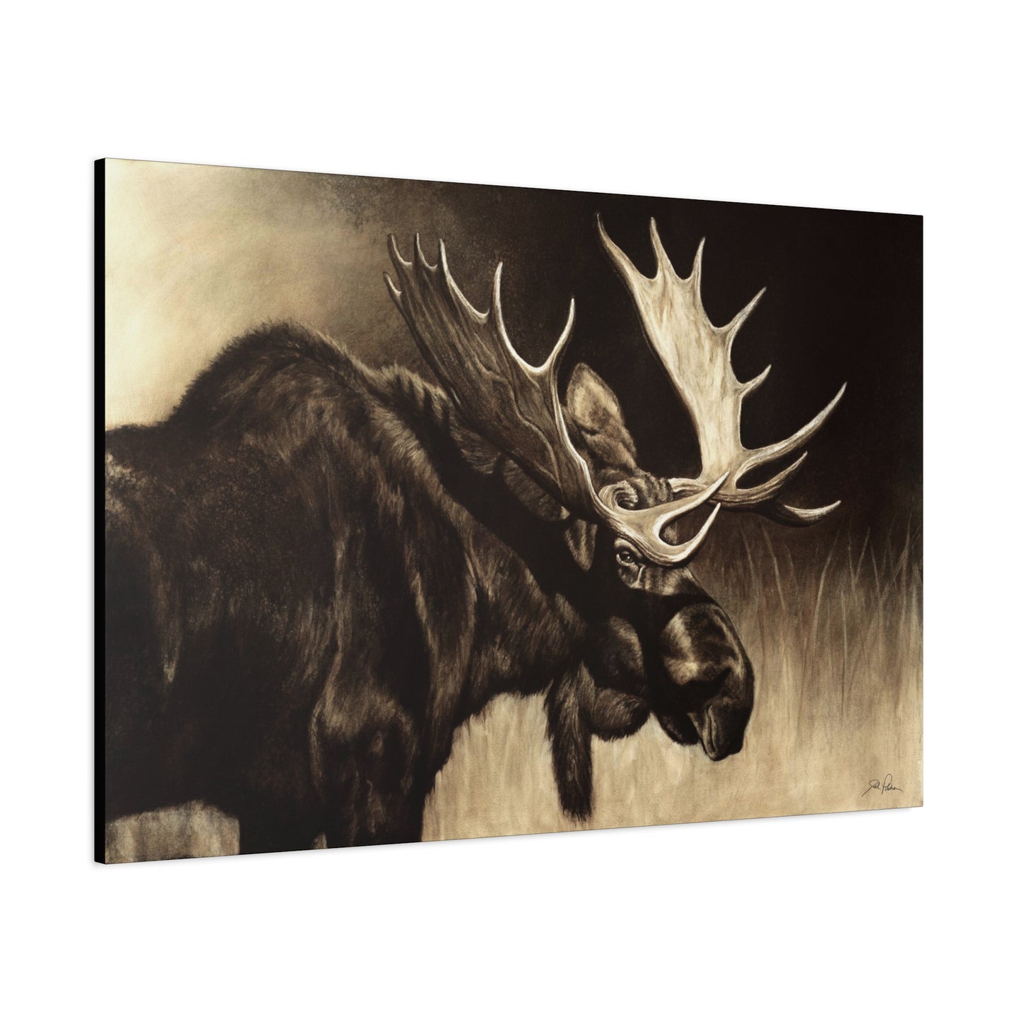 "Mighty Moose" Stretched Canvas