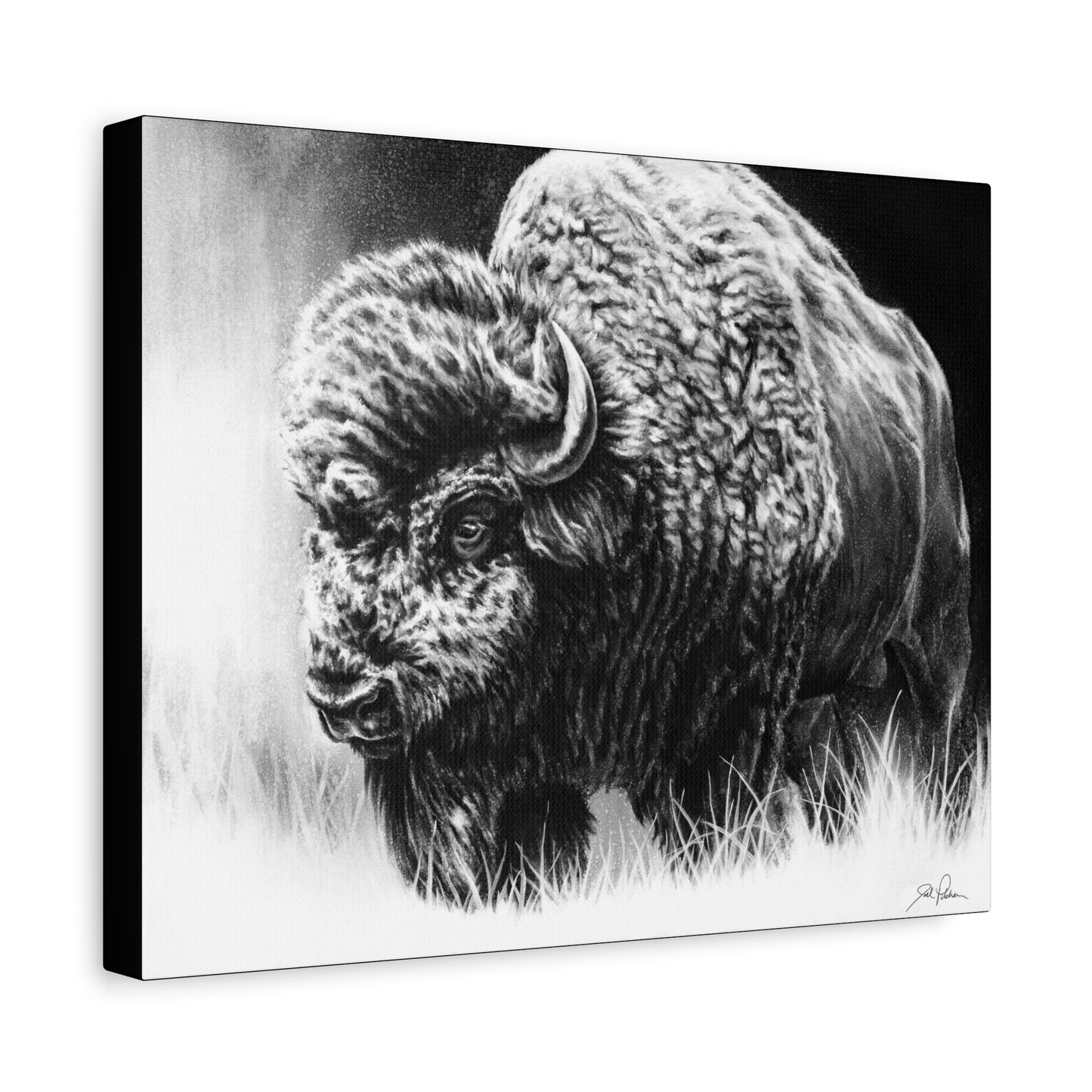 "Bull Dozer" Stretched Canvas