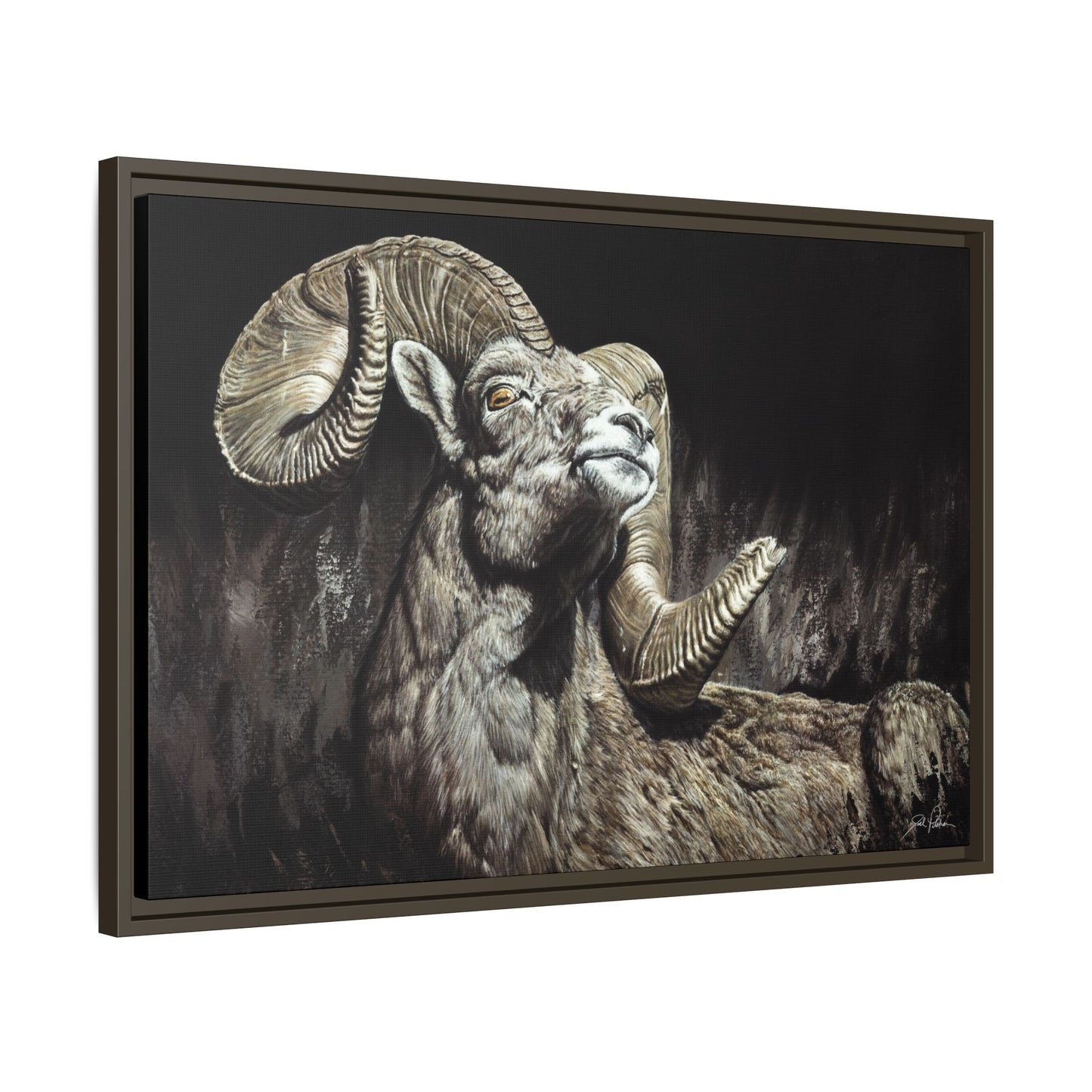"Golden Eye" Framed Canvas