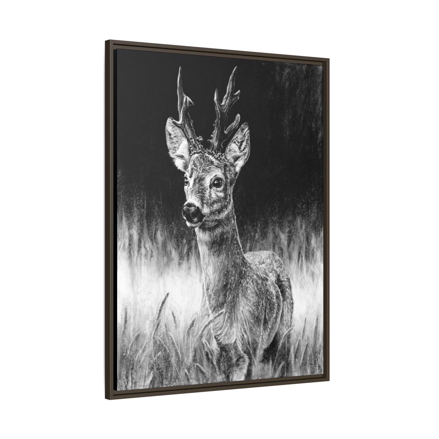 "Roe Deer" Framed Canvas
