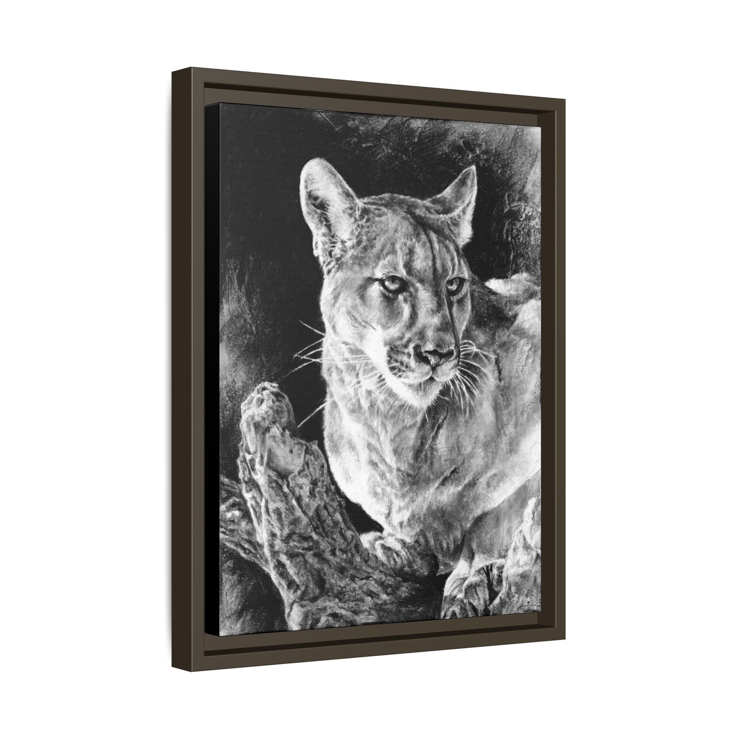 "Mountain Lion" Framed Canvas