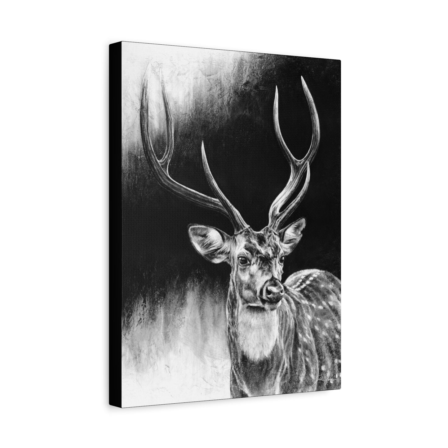 "Axis Buck" Stretched Canvas