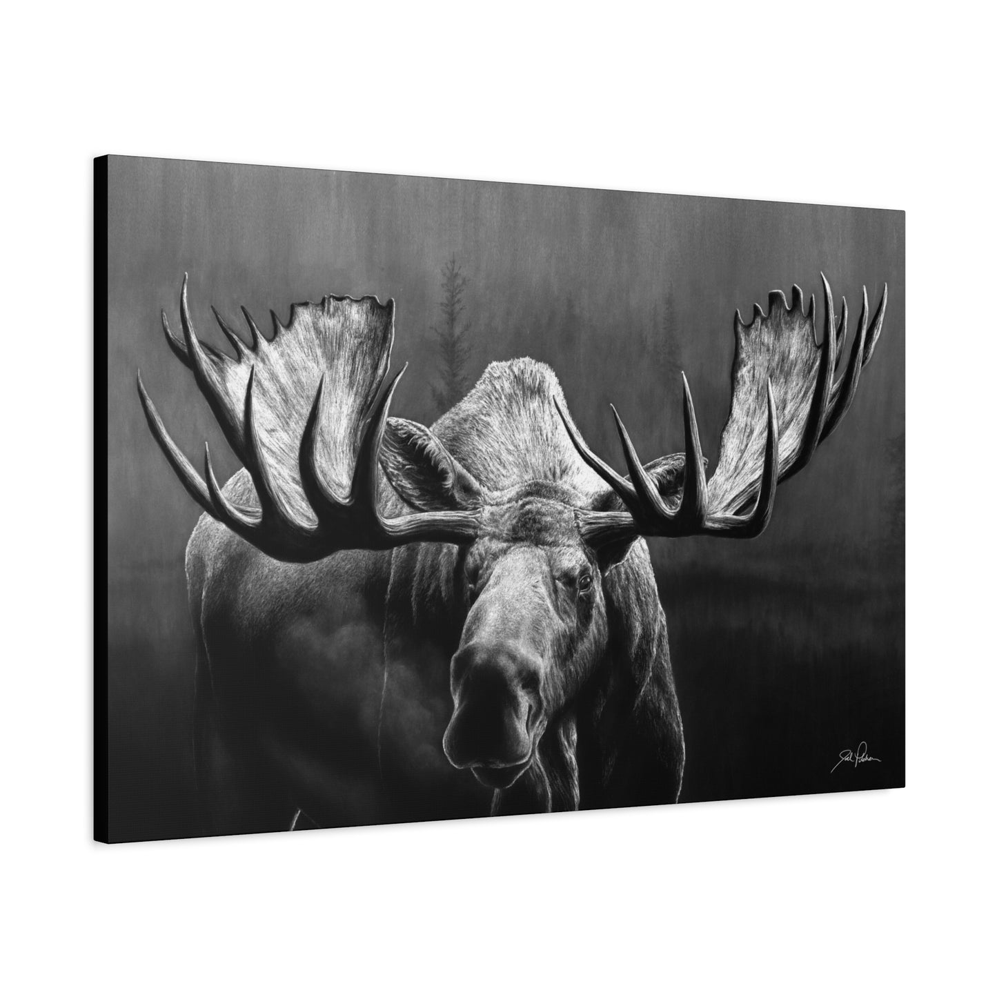 "Wide Load" Stretched Canvas