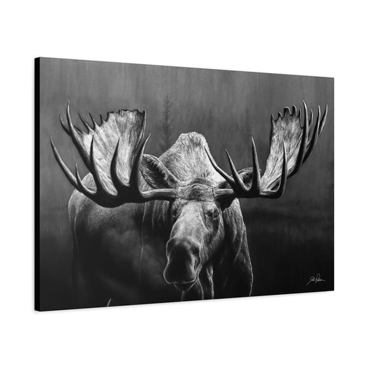 "Wide Load" Stretched Canvas
