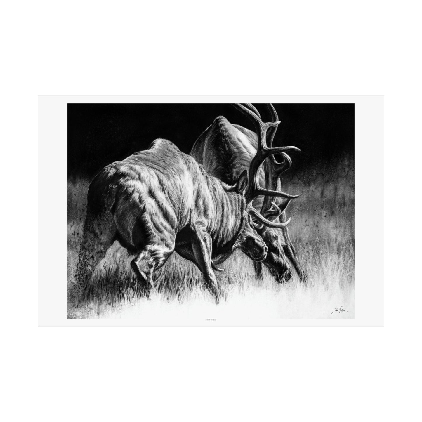 "Winner Takes All" Premium Matte Paper Print
