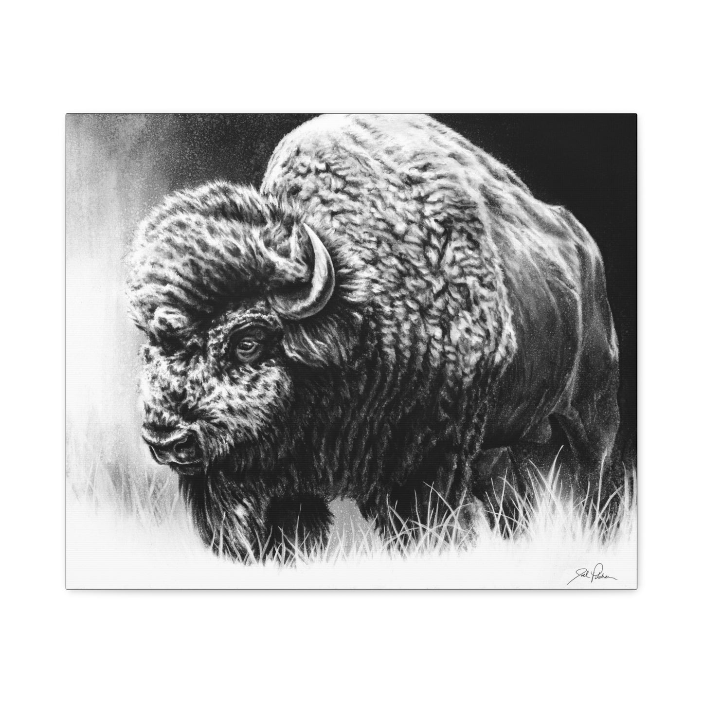 "Bull Dozer" Stretched Canvas