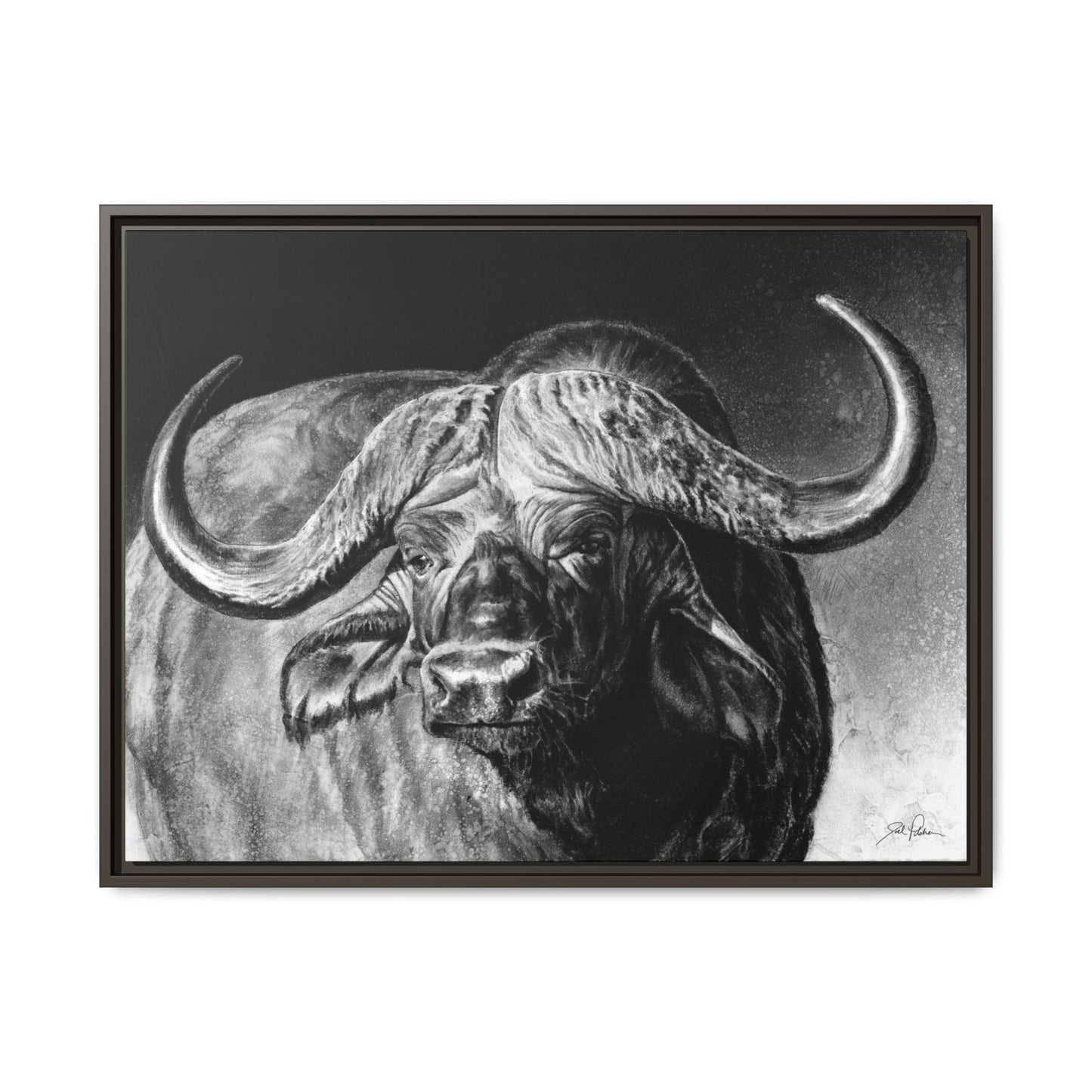 "Cape Buffalo" Framed Canvas