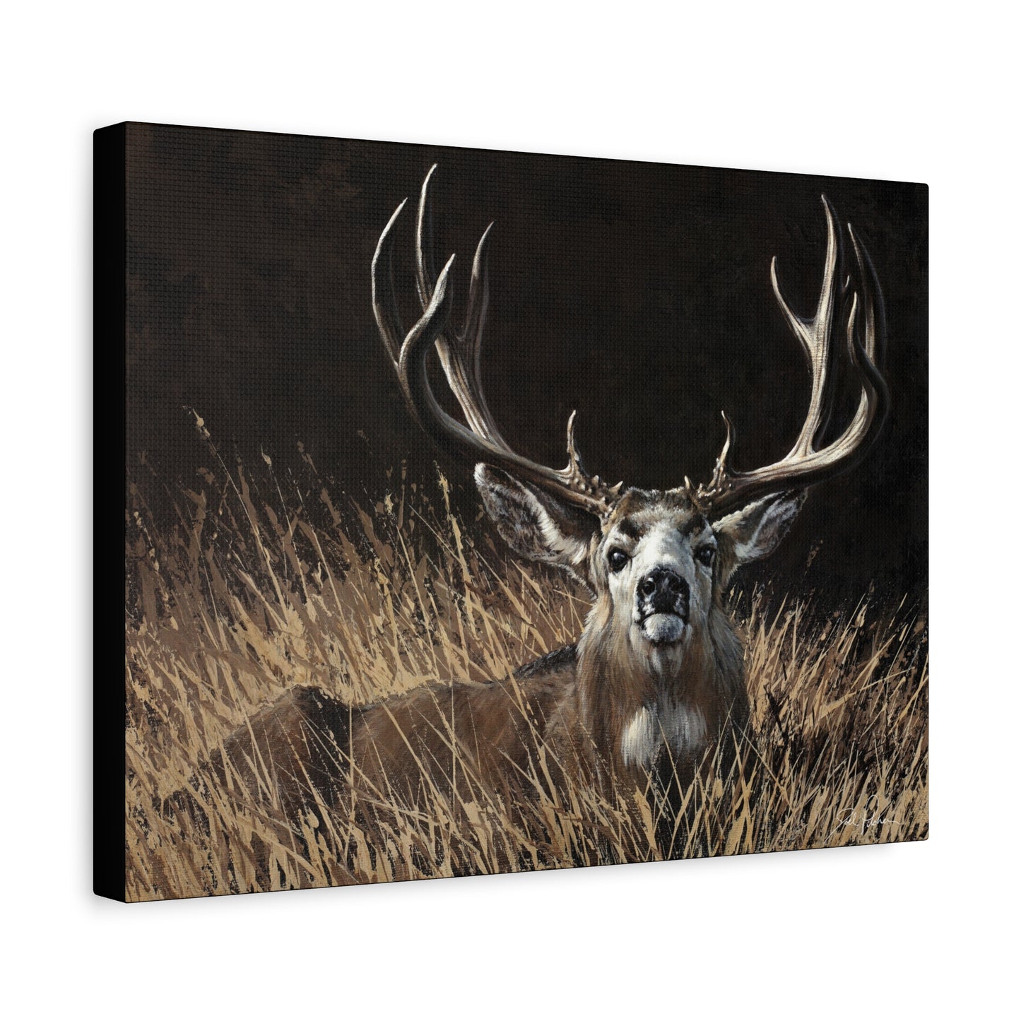 "Eye Contact" Stretched Canvas