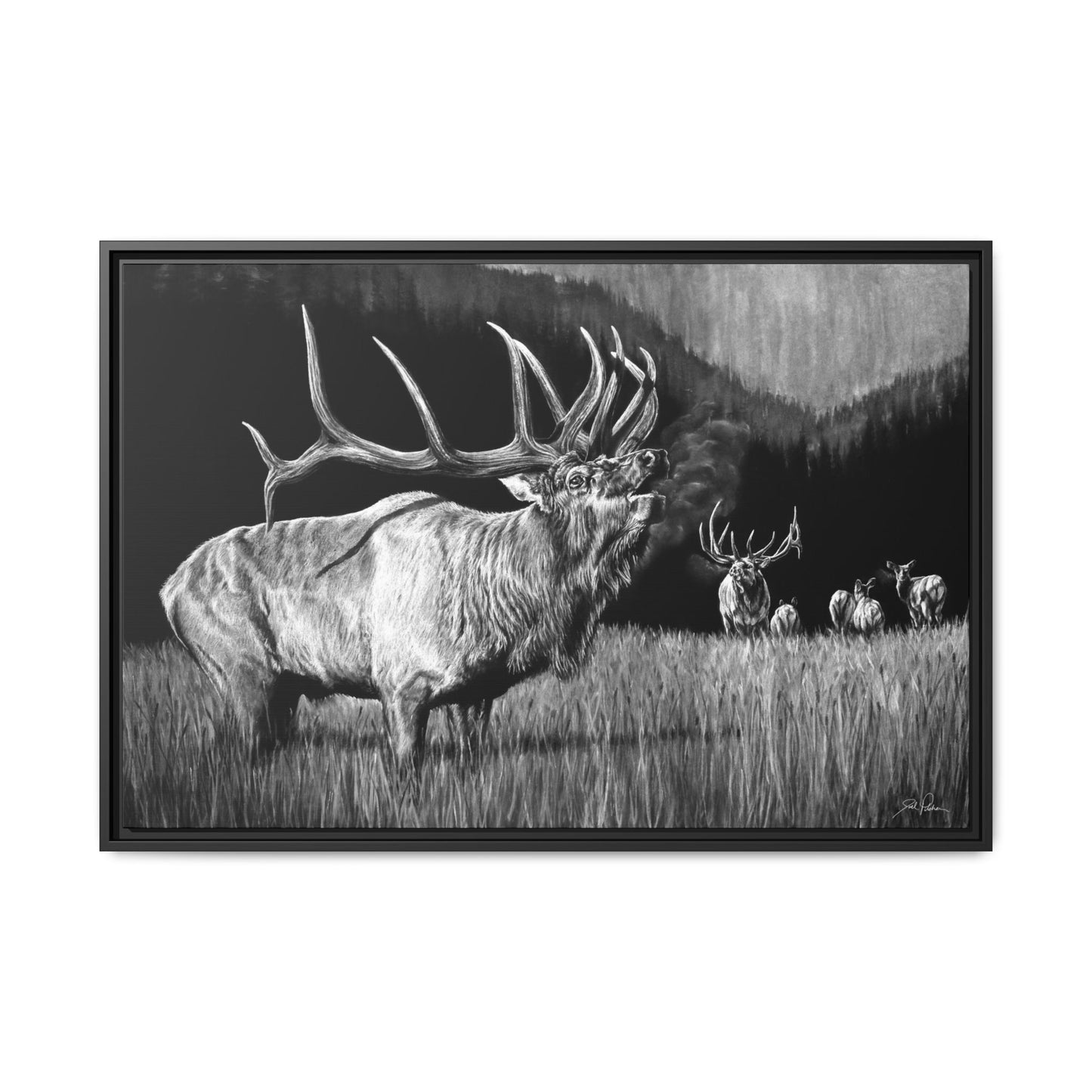 "The Contender" Framed Canvas