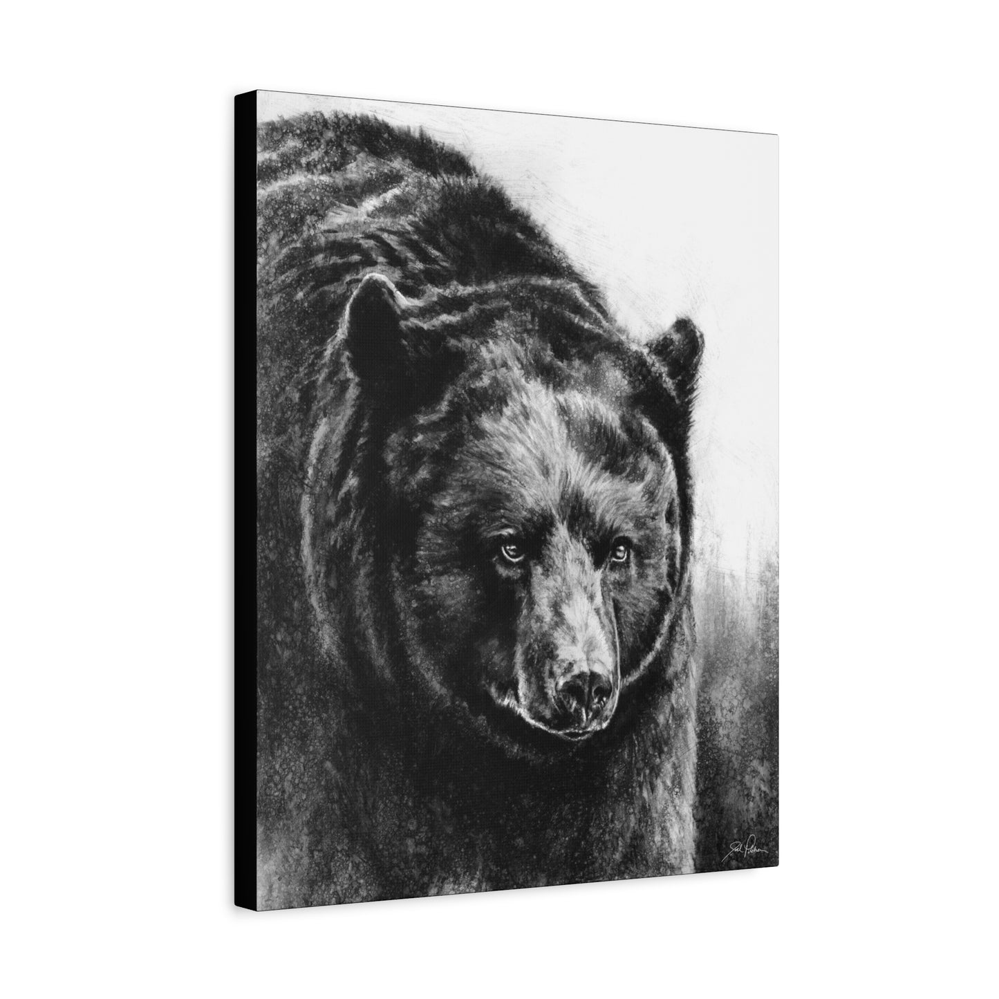 "Black Bear" Stretched Canvas