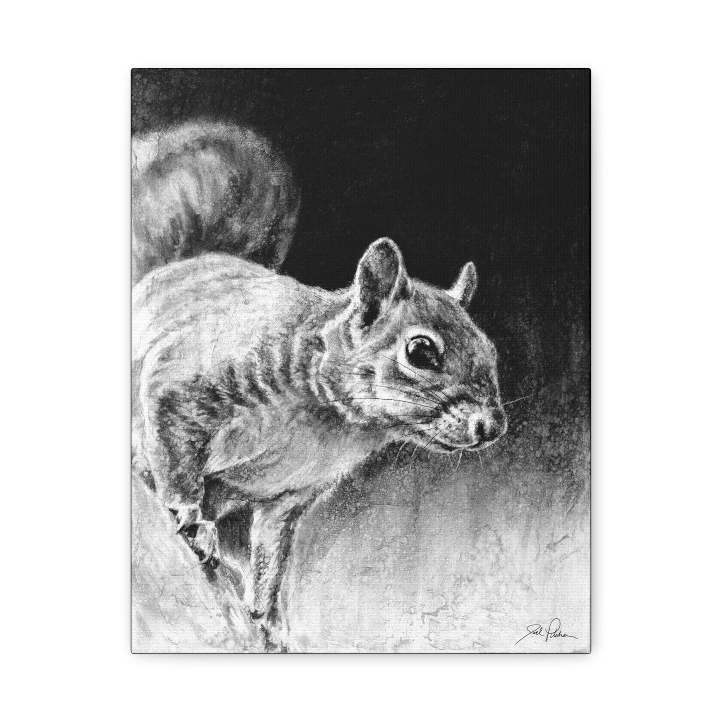 "Squirrel" Stretched Canvas