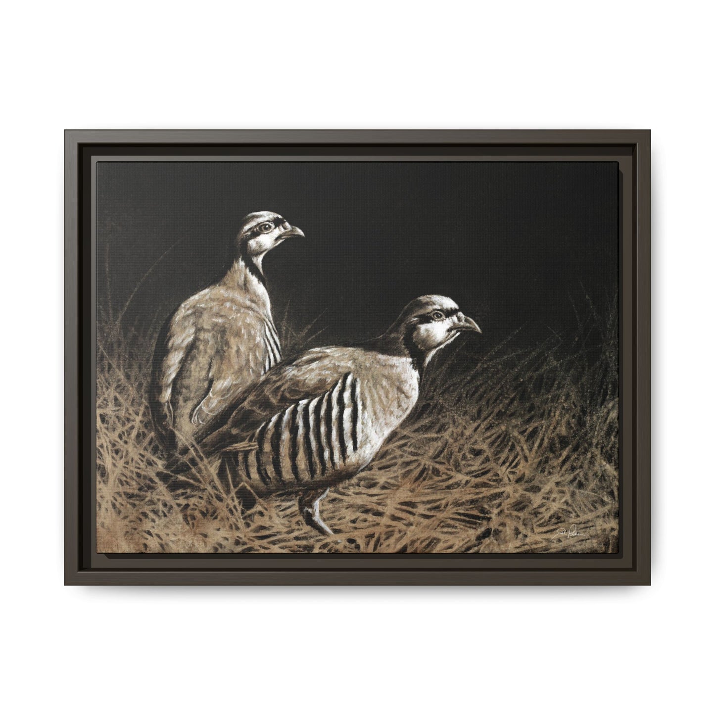 "Chukars" Framed Canvas