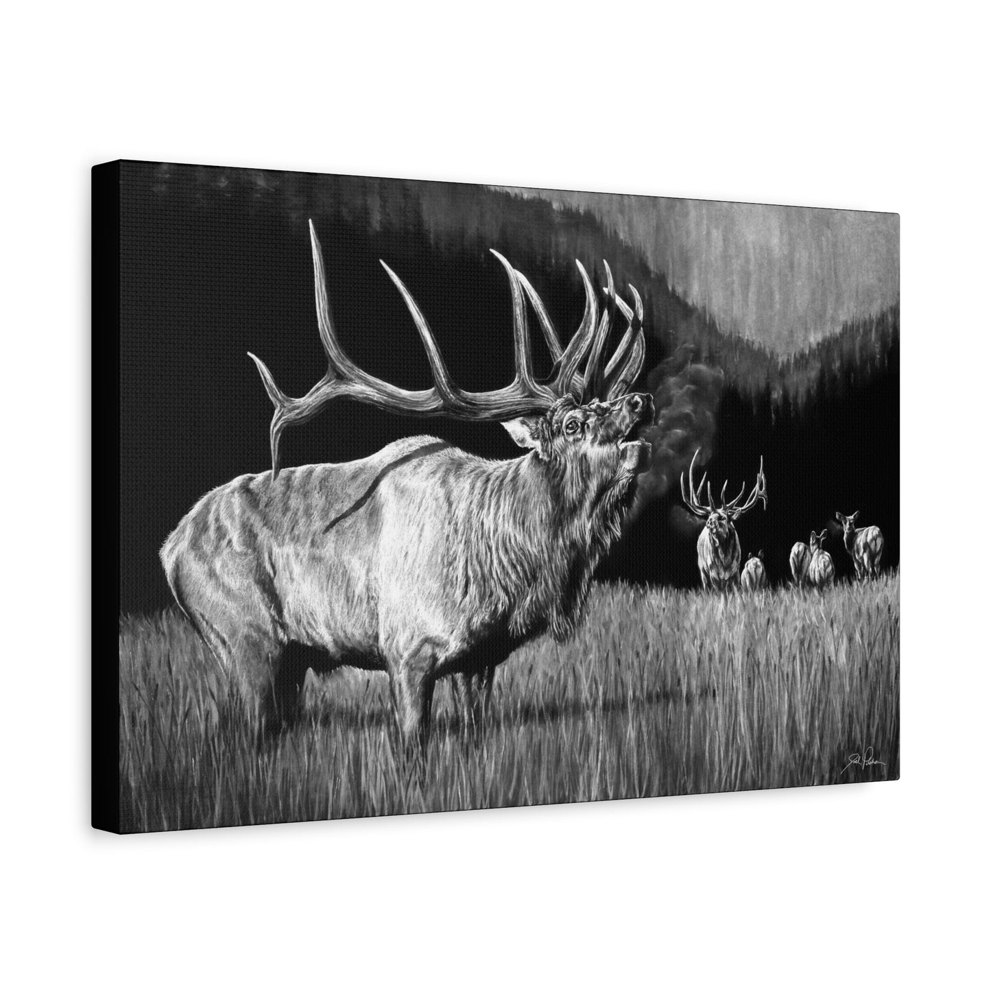 "The Contender" Stretched Canvas