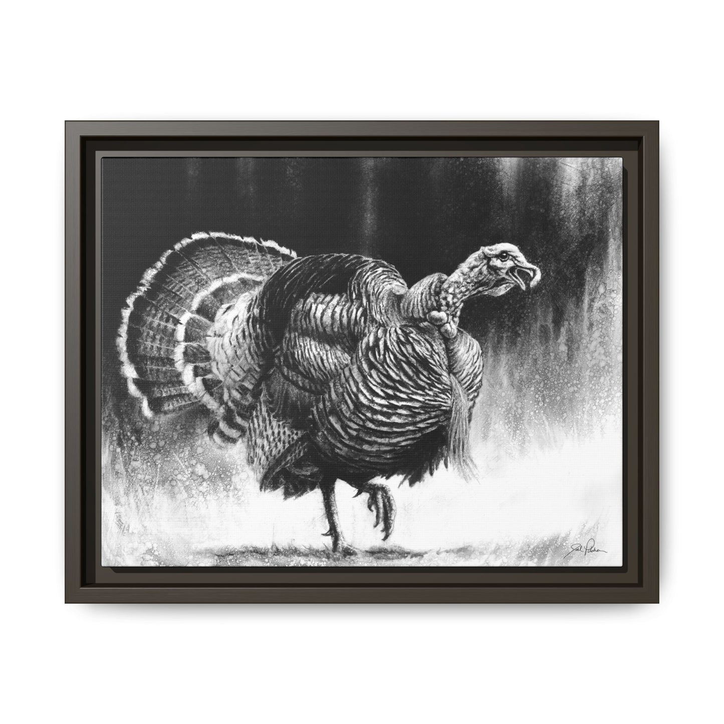 "Gobbler" Framed Canvas