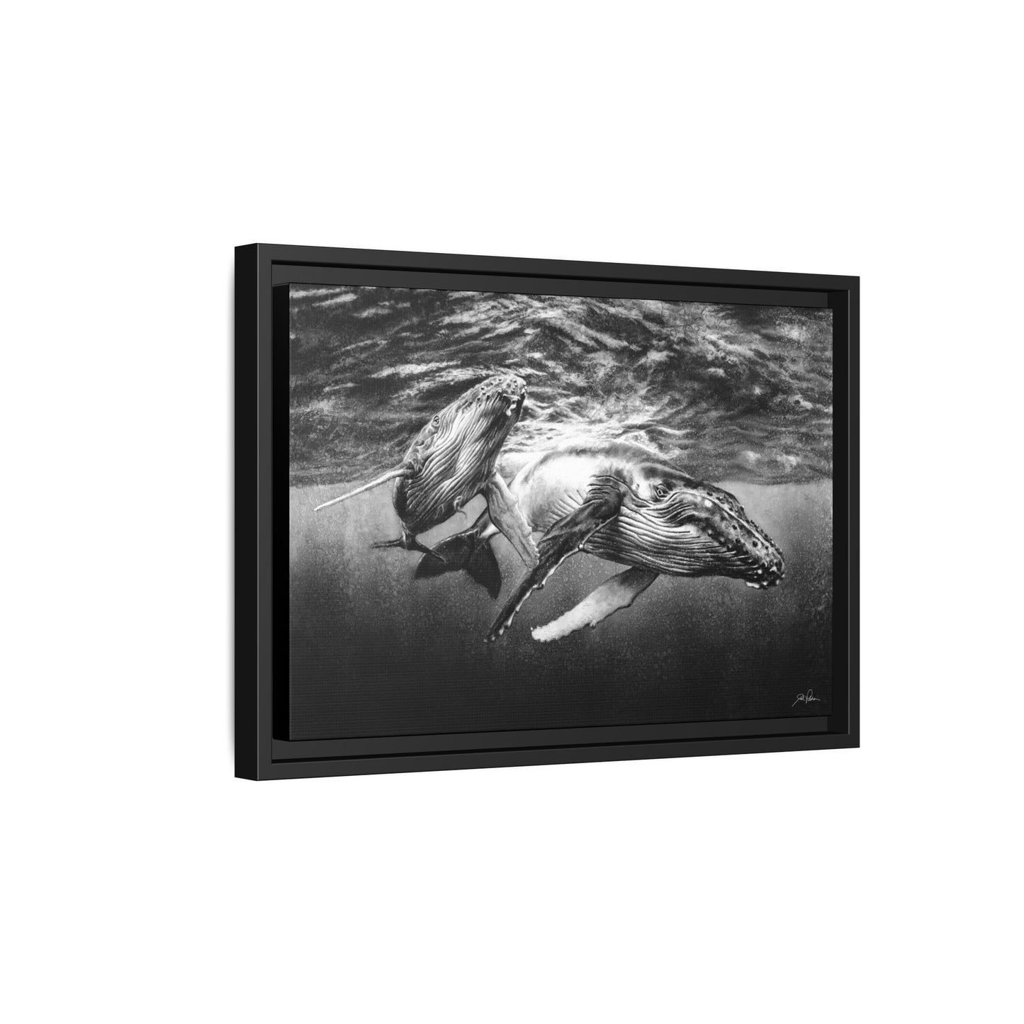 "Humpback Whales" Framed Canvas