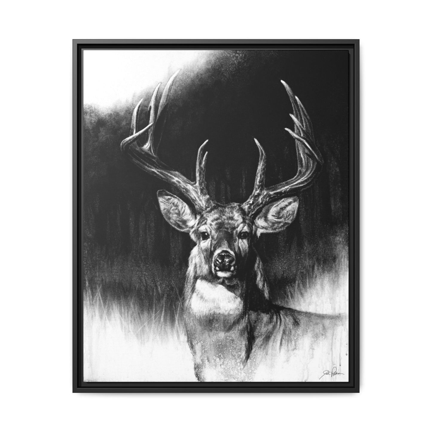 "Whitetail" Framed Canvas
