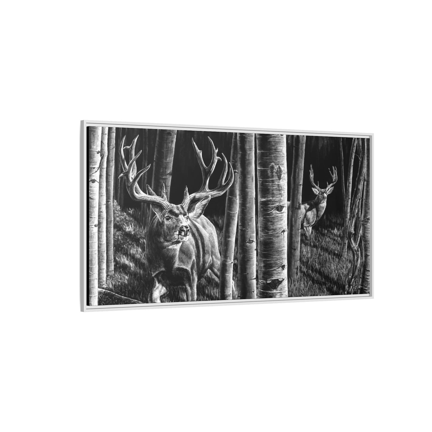 "Out of the Shadows" Framed Canvas