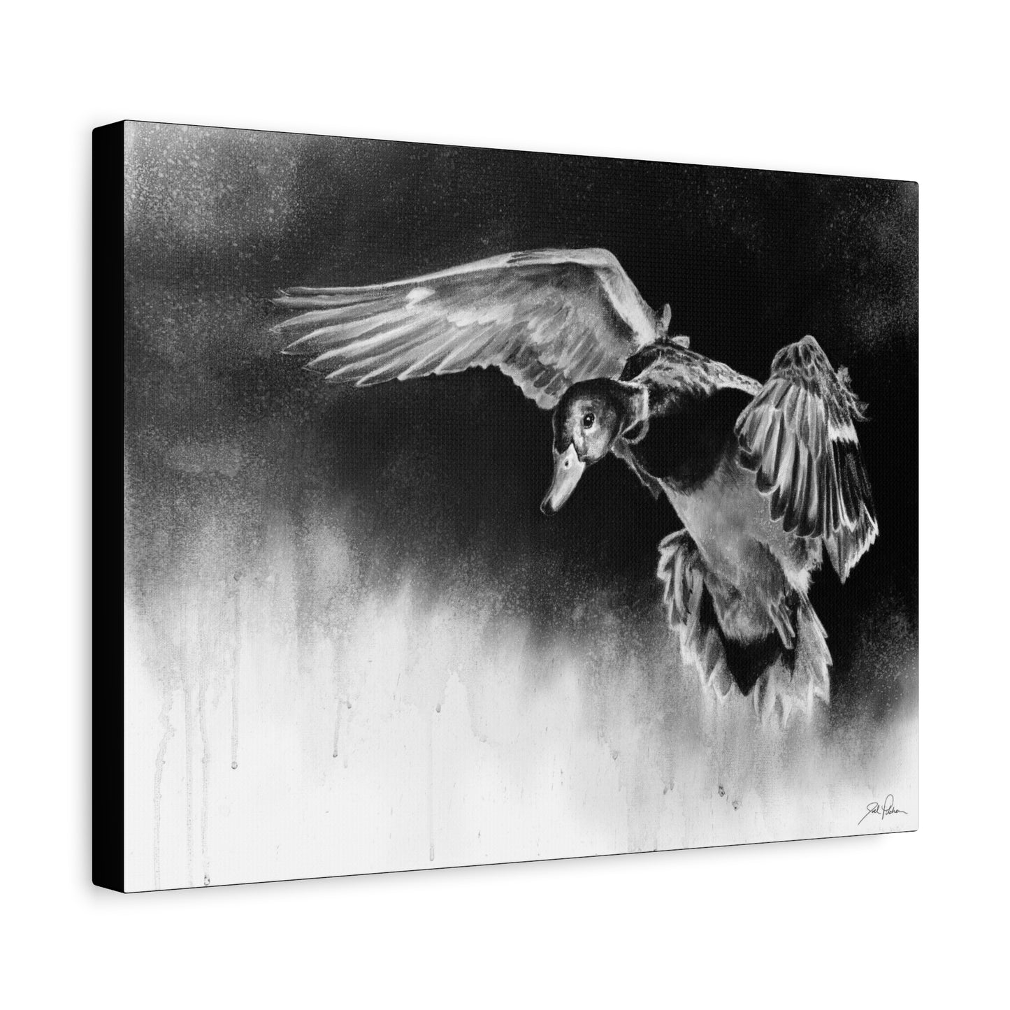 "Controlled Descent" Stretched Canvas