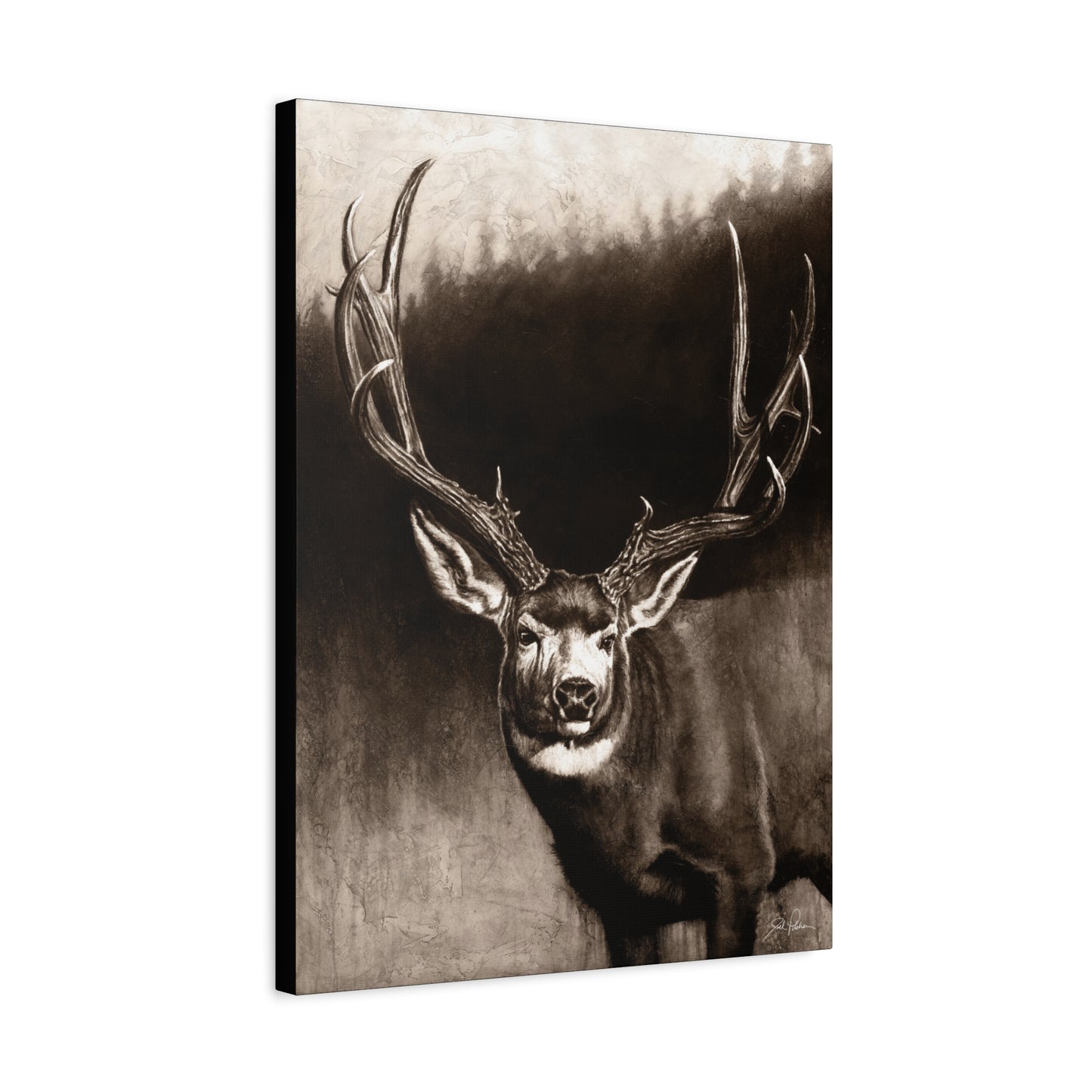 "Muley" Stretched Canvas