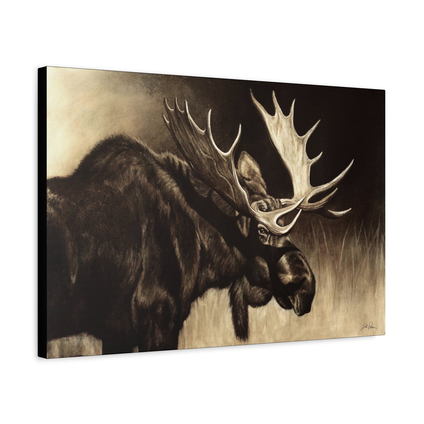 "Mighty Moose" Stretched Canvas