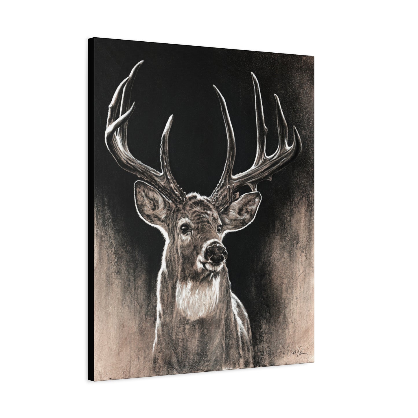 "Backlit Buck" Stretched Canvas