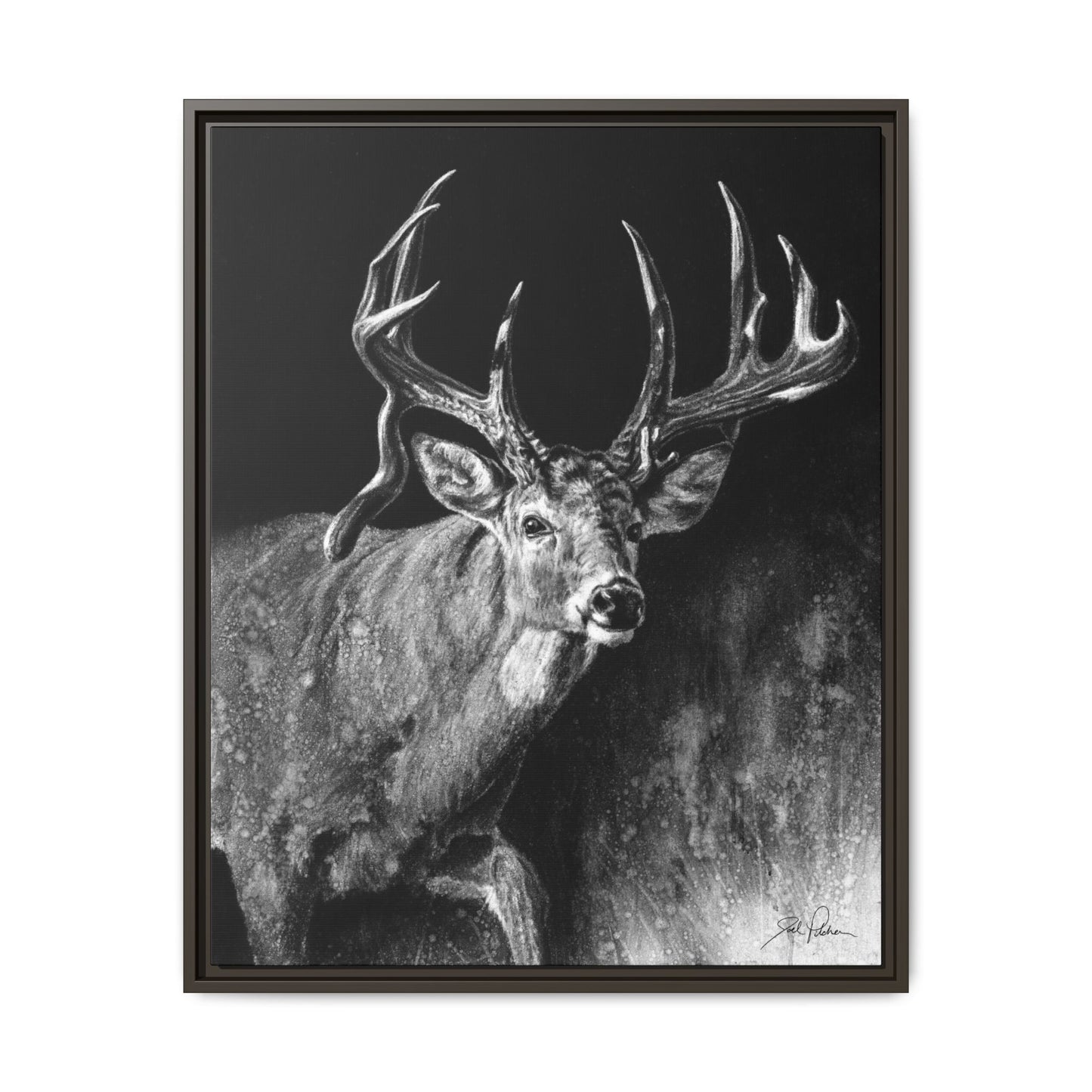 "Jaw Dropper" Framed Canvas
