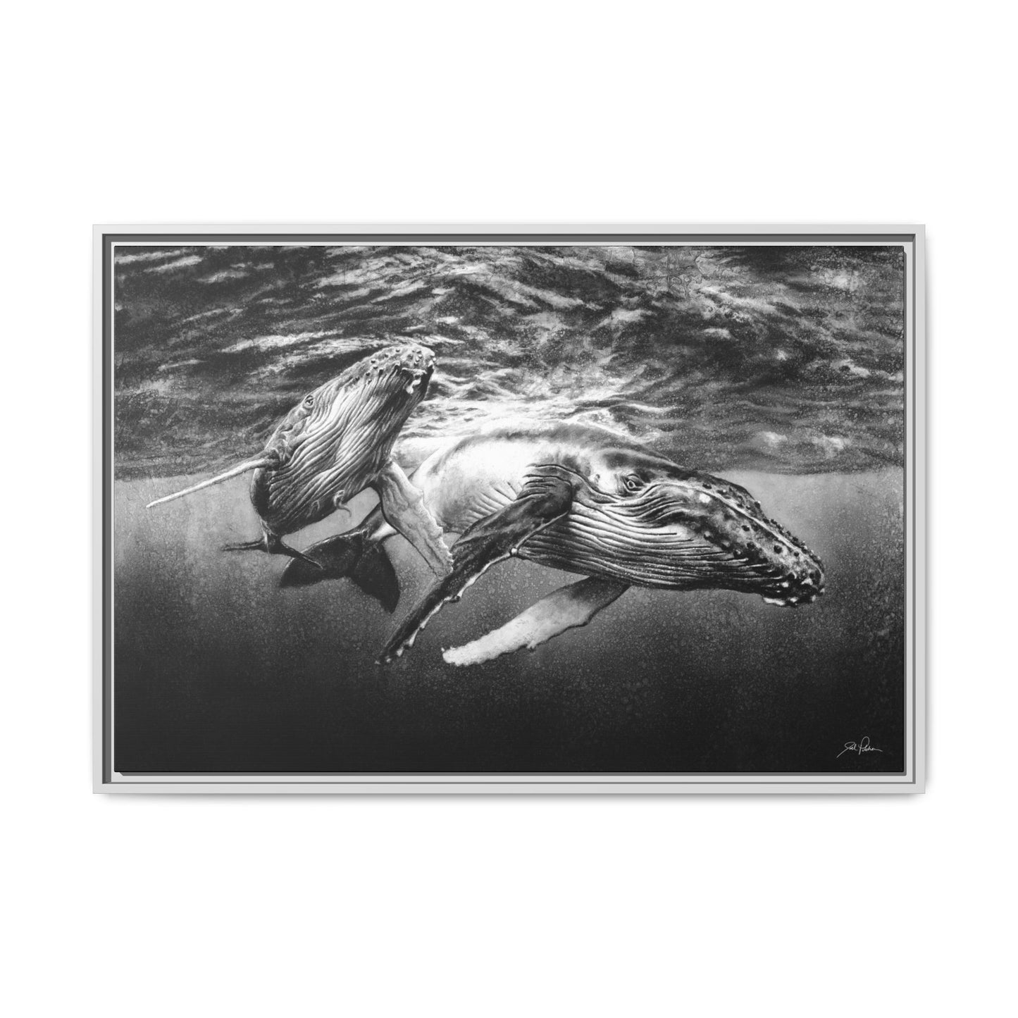 "Humpback Whales" Framed Canvas