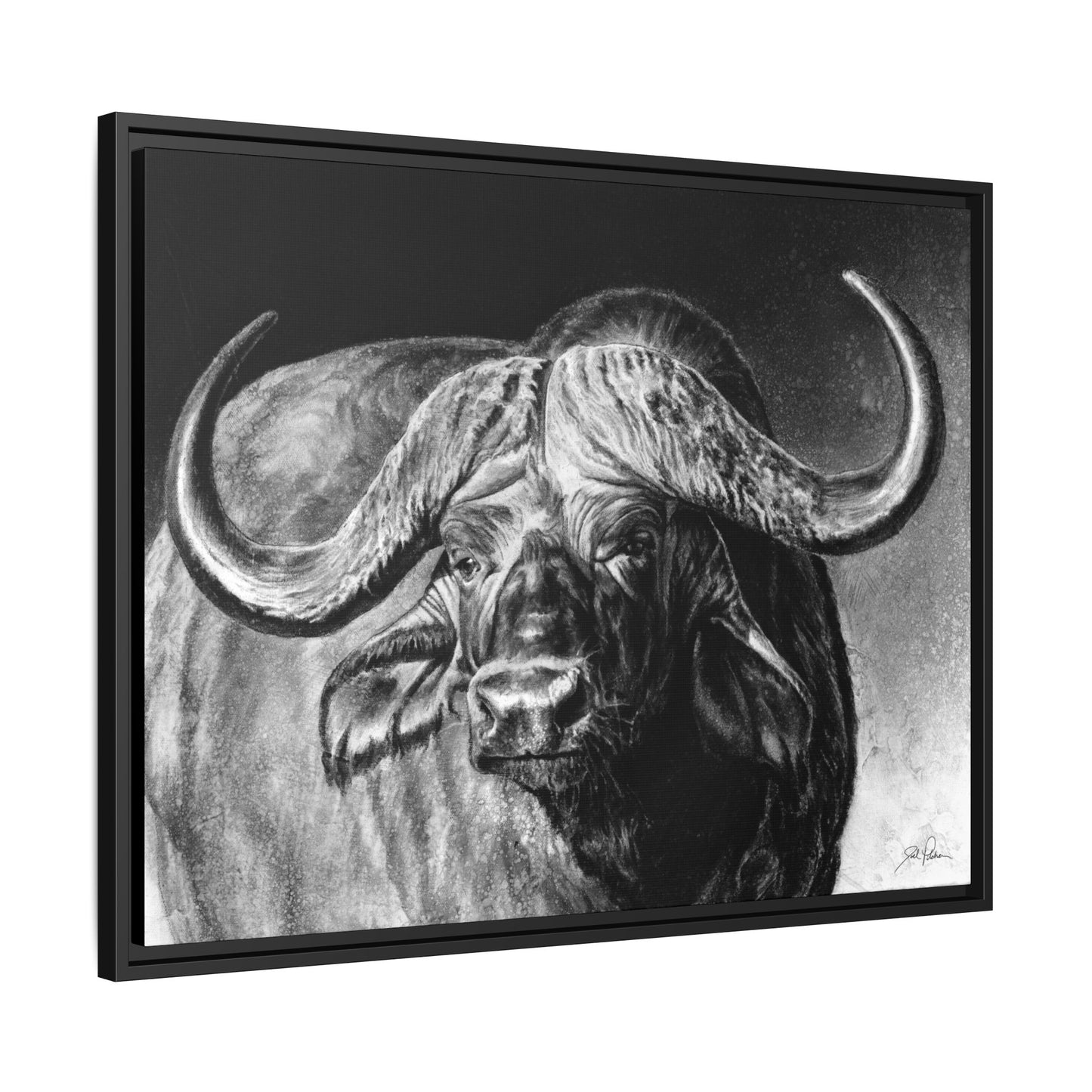 "Cape Buffalo" Framed Canvas