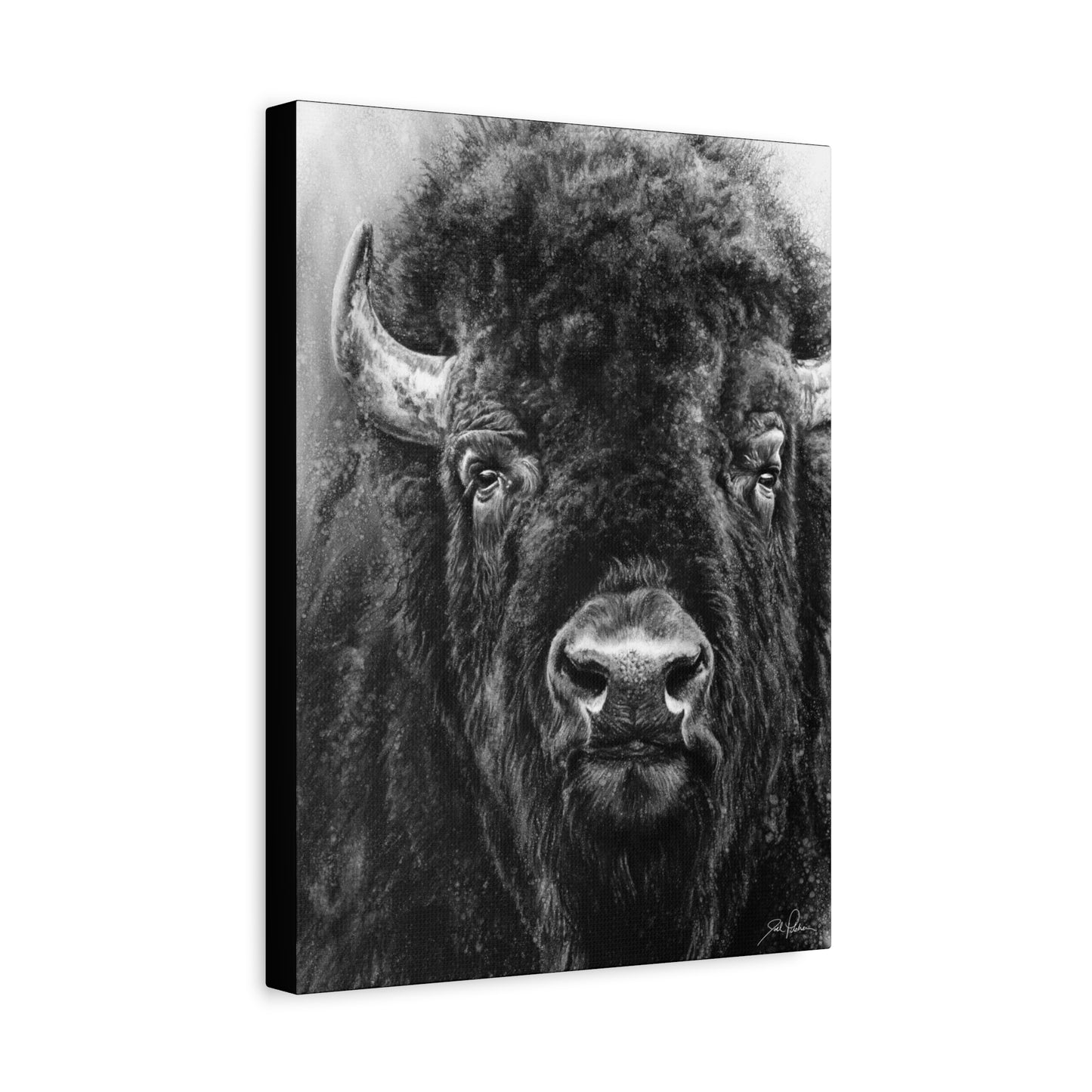 "Tatanka" Stretched Canvas