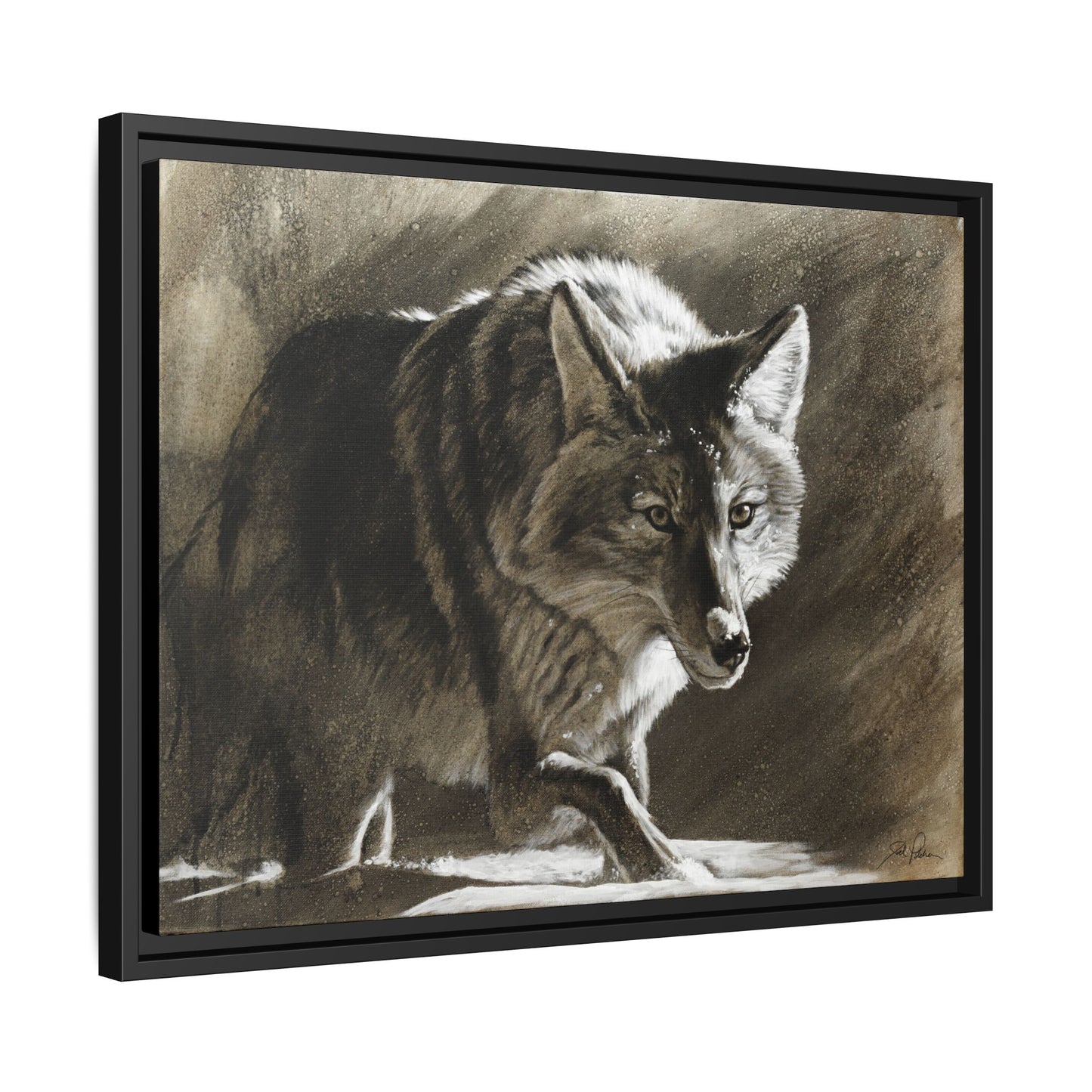 "Coyote" Framed Canvas