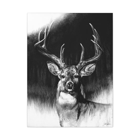 "Whitetail" Stretched Canvas