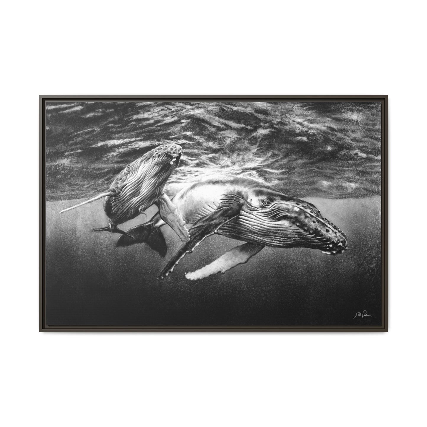 "Humpback Whales" Framed Canvas