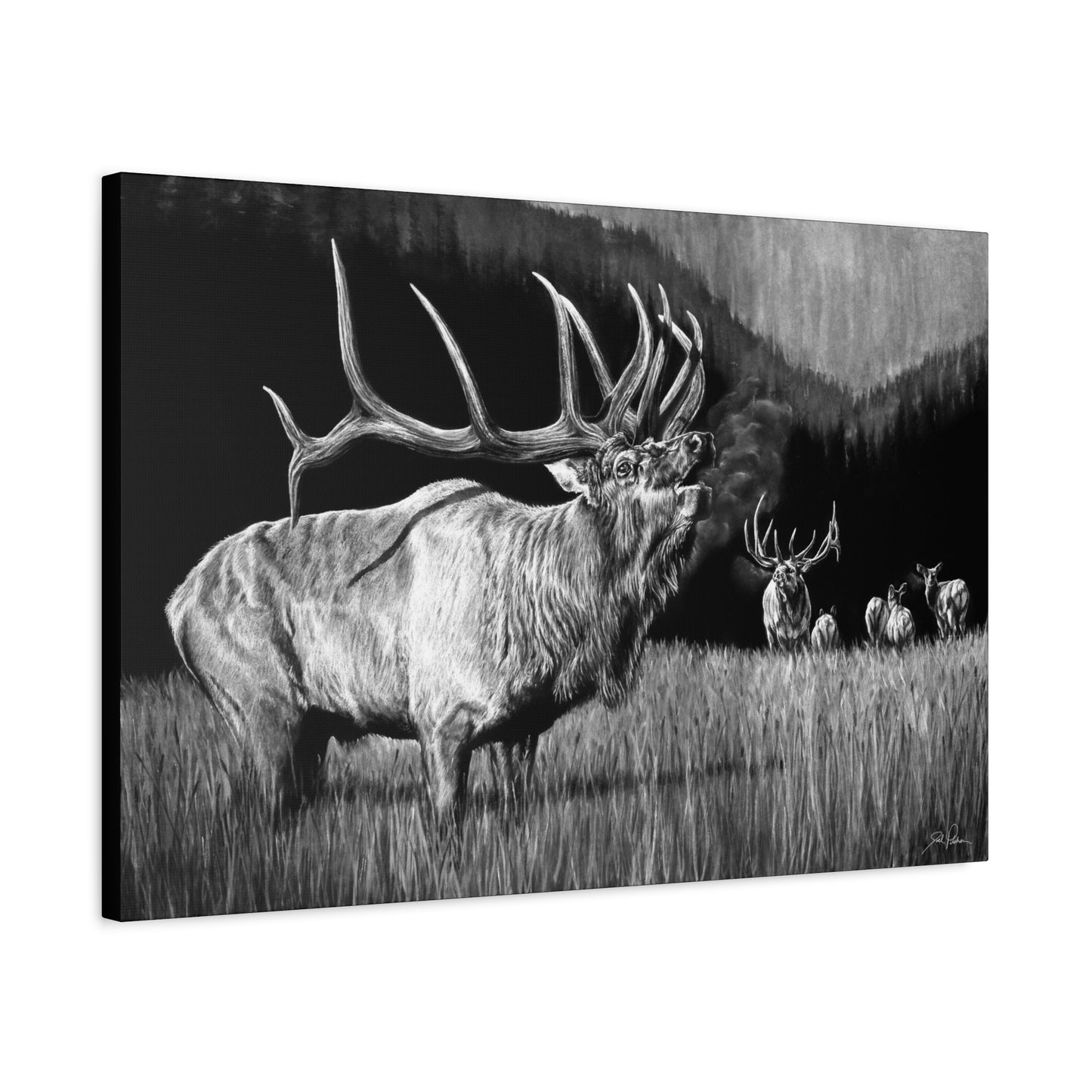 "The Contender" Stretched Canvas