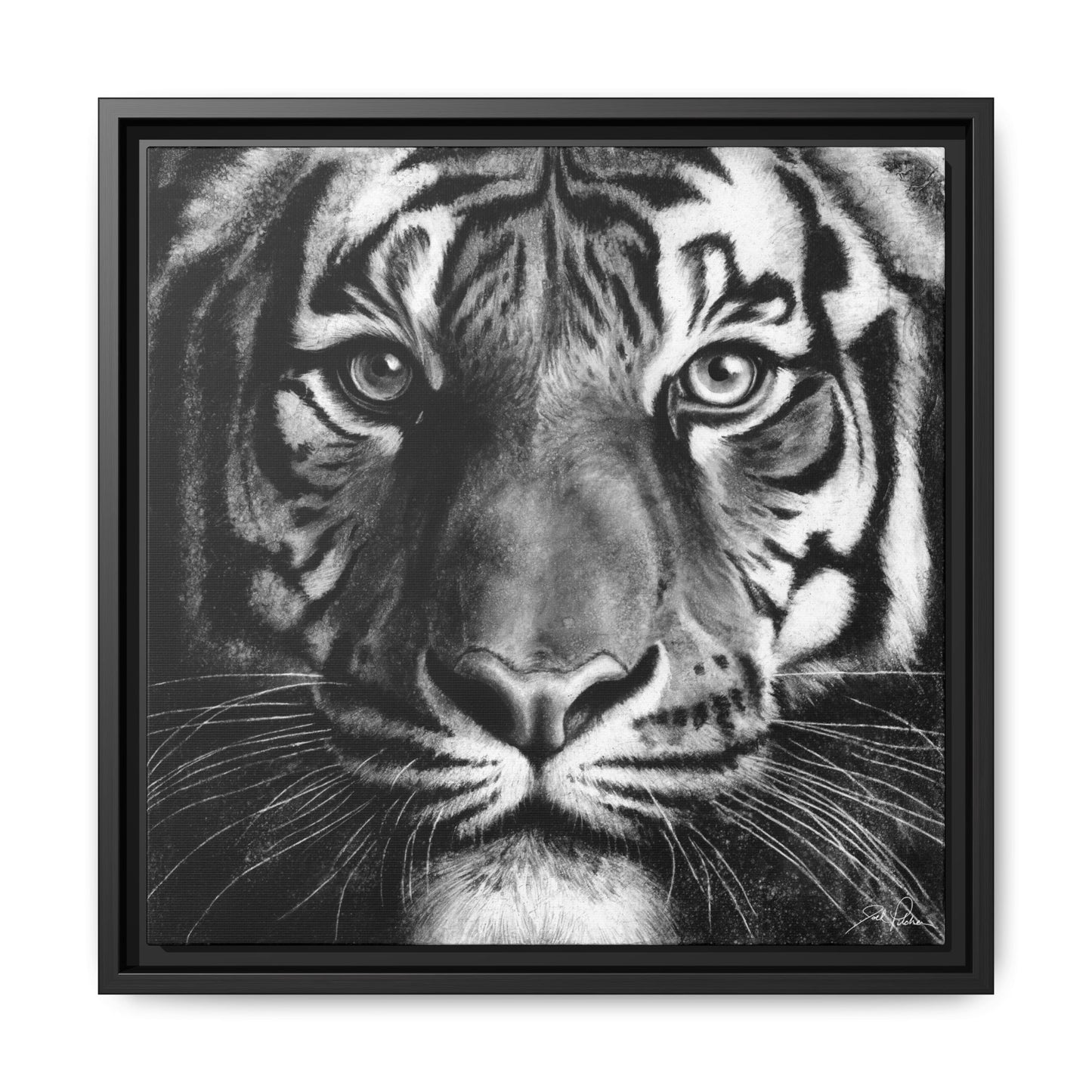 "Tiger" Framed Canvas