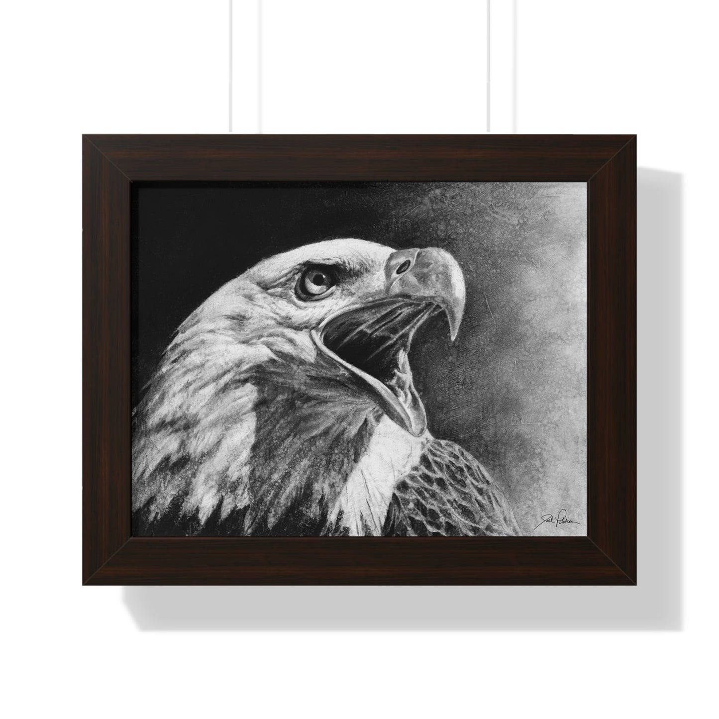 "Bald Eagle" Framed Paper Print