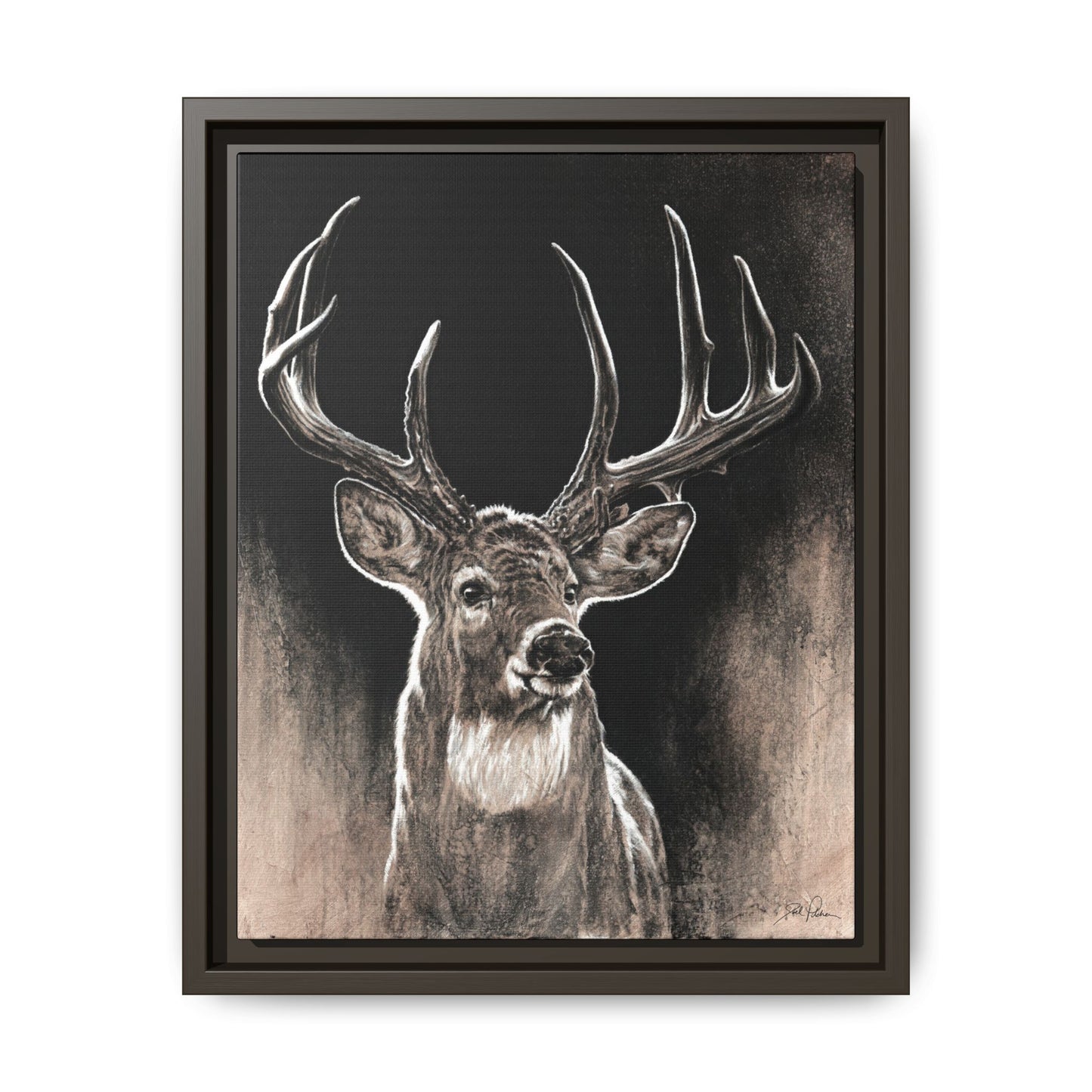 "Backlit Buck" Framed Canvas