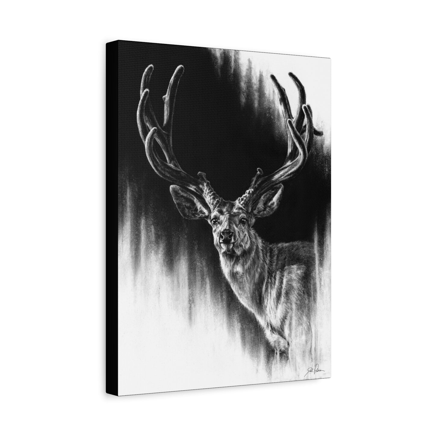 "Summer Swag" Stretched Canvas