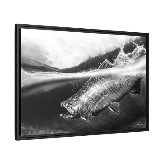 "Brook Trout" Framed Canvas