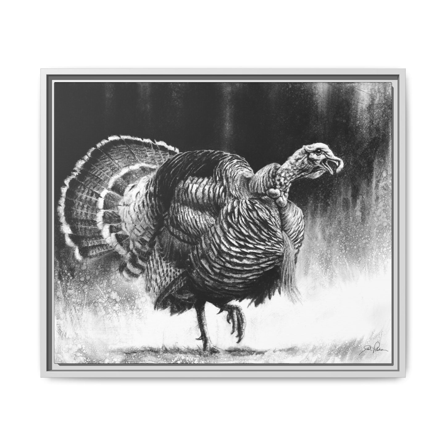 "Gobbler" Framed Canvas