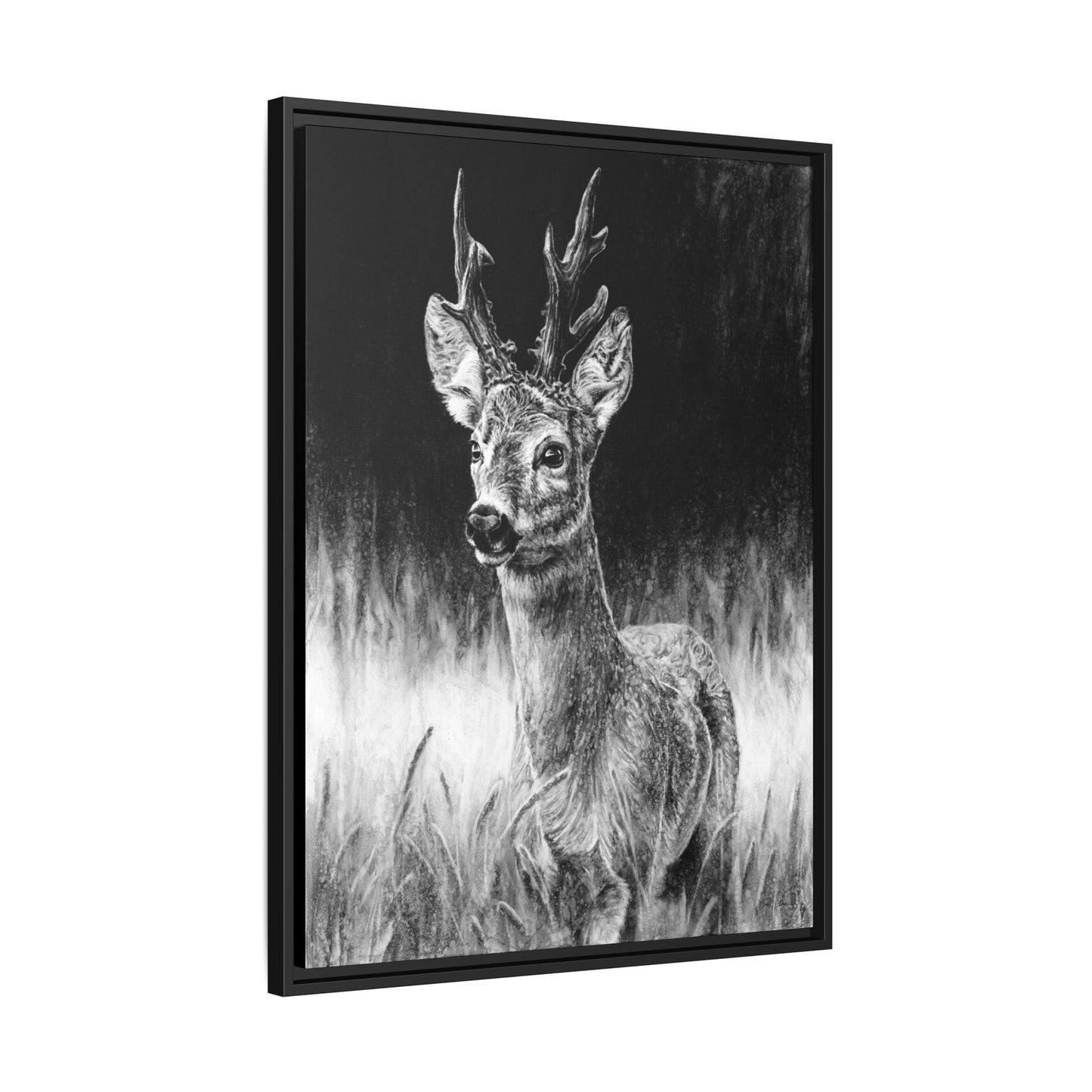 "Roe Deer" Framed Canvas