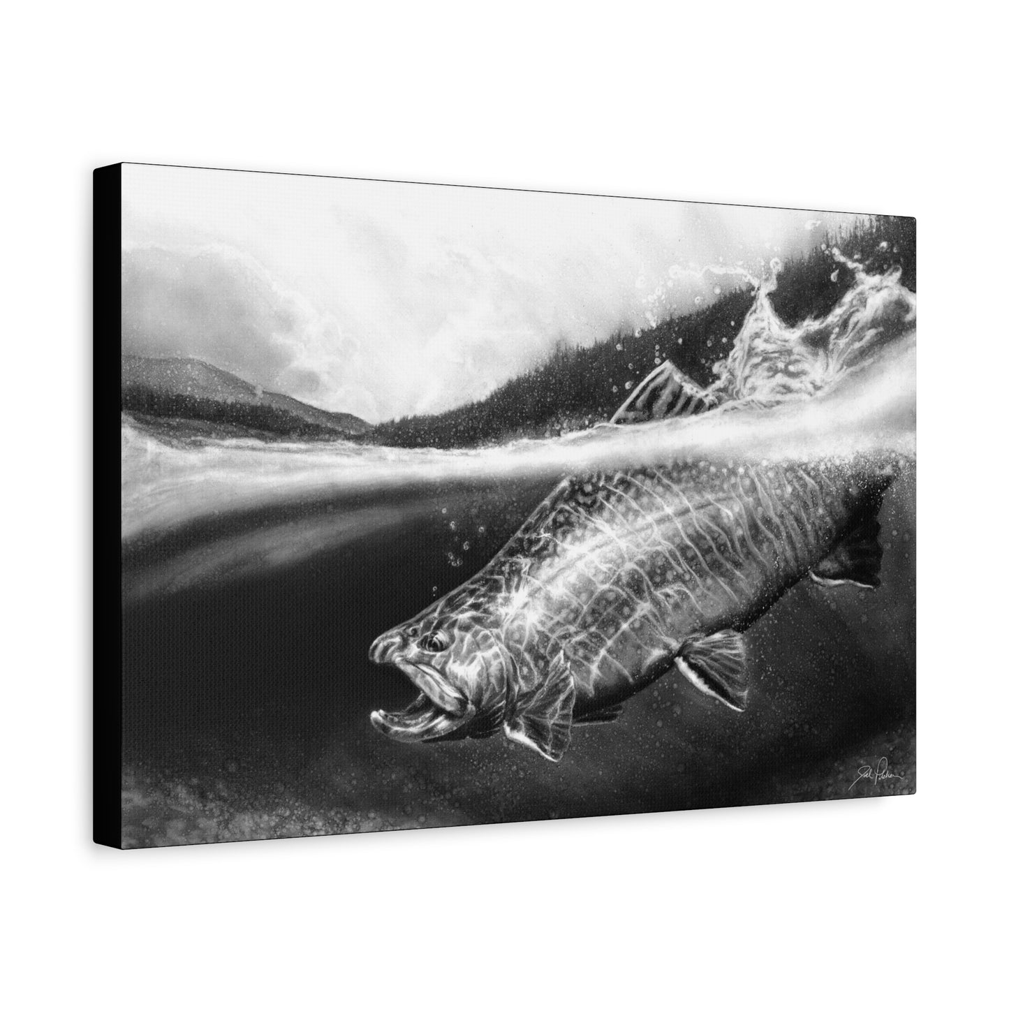 "Brook Trout" Stretched Canvas
