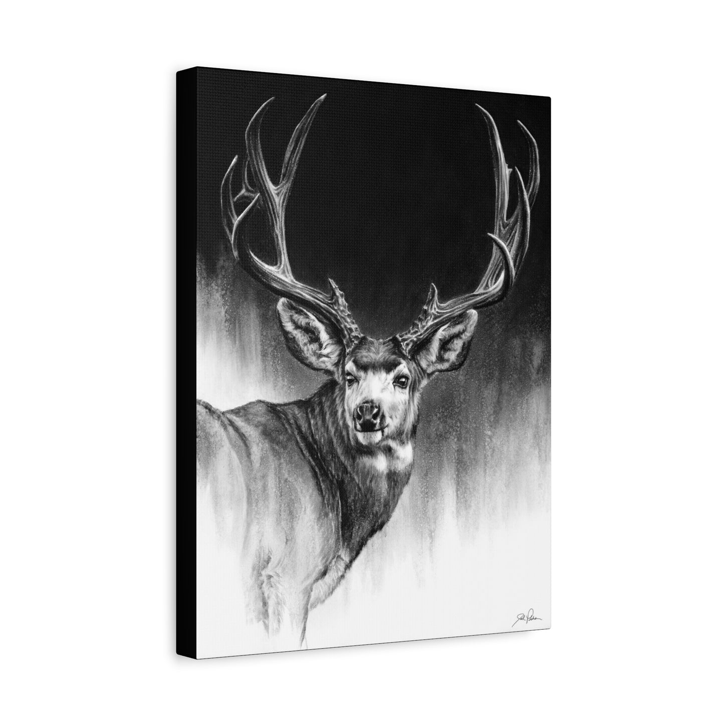 "Looking Back" Stretched Canvas