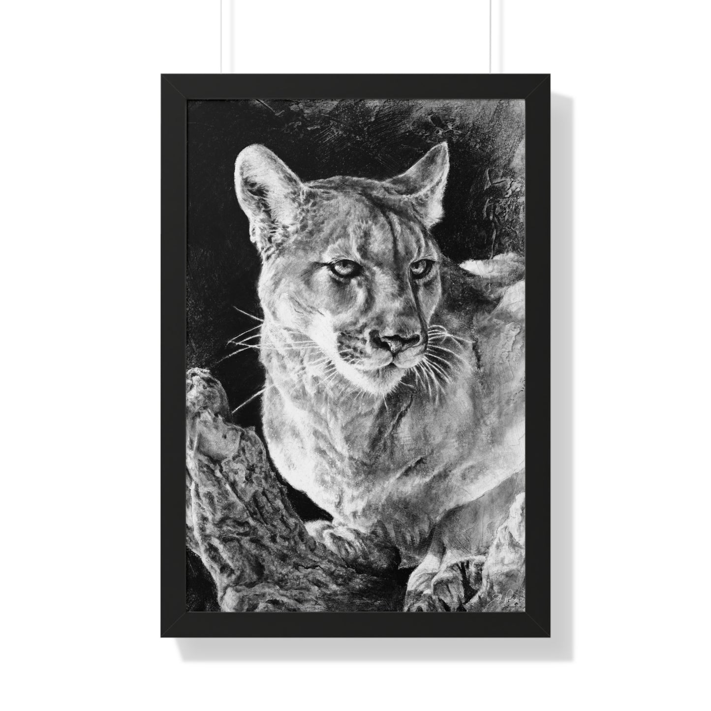 "Mountain Lion" Framed Paper Print