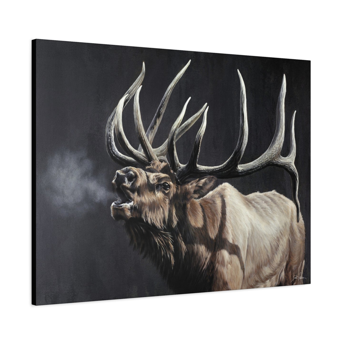 "Royal Persuasion" Stretched Canvas