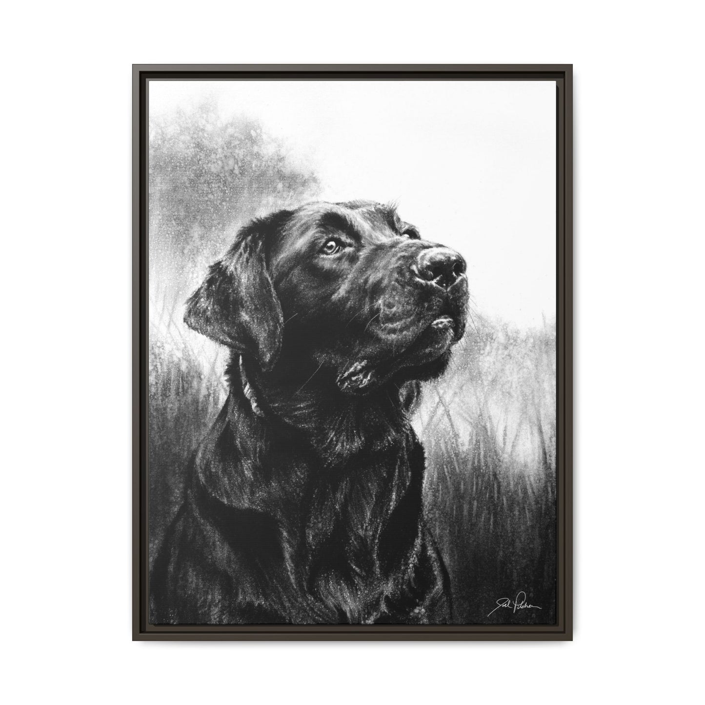 "Labrador Retriever" Framed Canvas