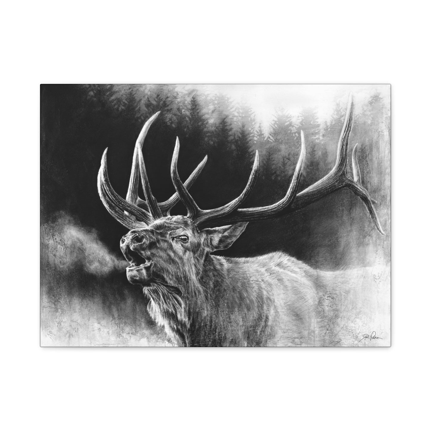 "Bugle Boy" Stretched Canvas